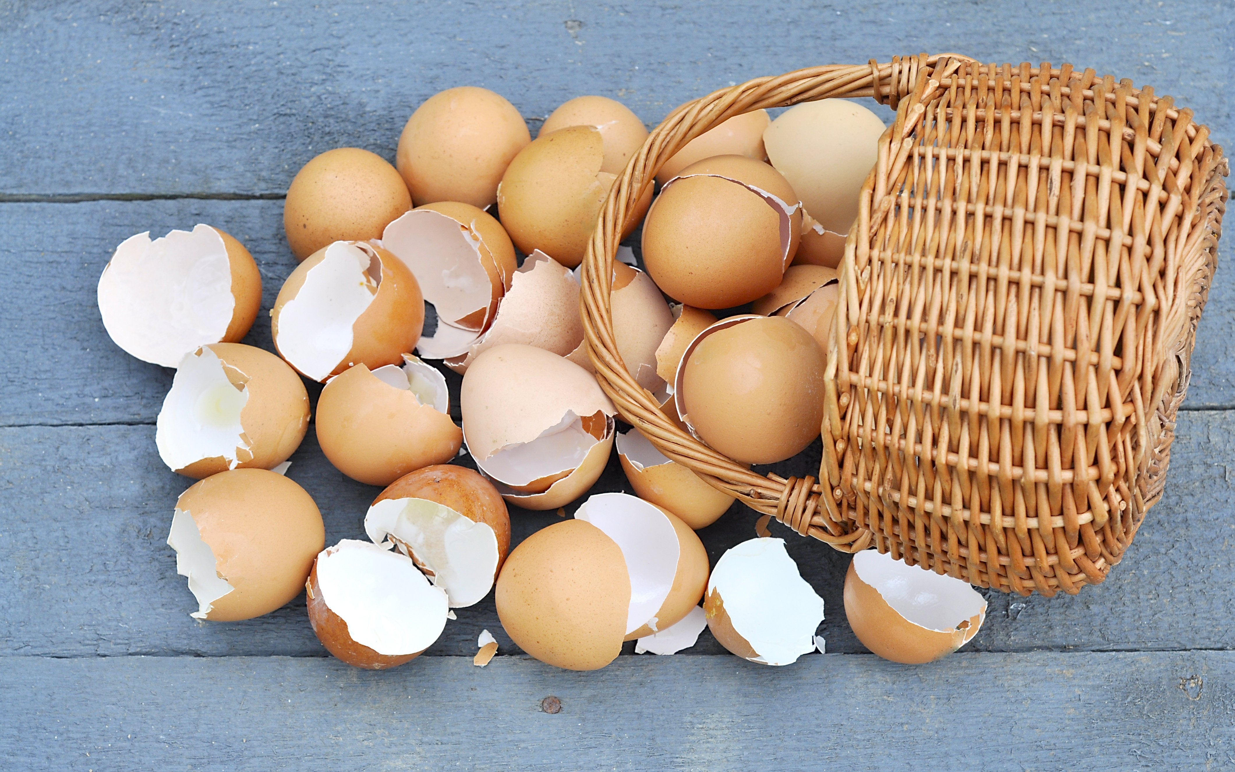 Are you Putting All Your I.T. Eggs In One Basket?